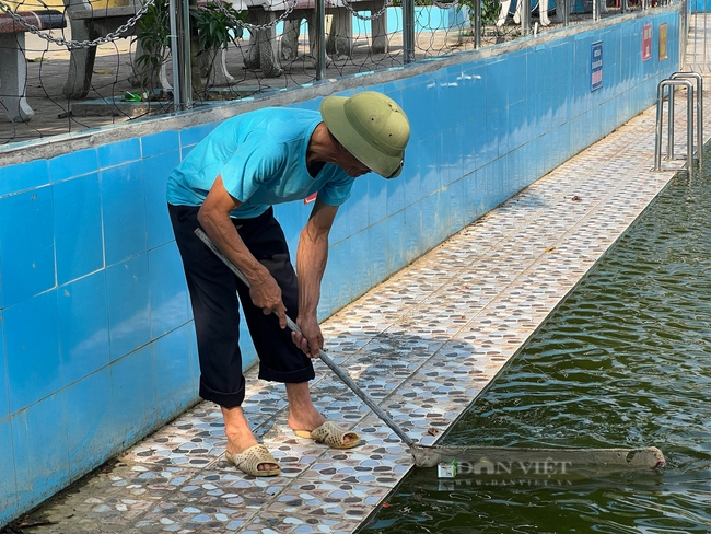 Những ao làng ở ngoại thành Hà Nội được chi tiền tỷ biến thành bể bơi- Ảnh 3.