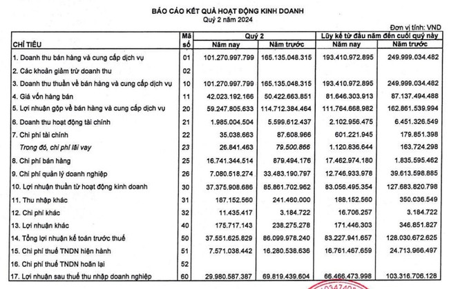 Sonadezi Giang Điền báo lãi lao dốc, giảm gần 57%- Ảnh 2.