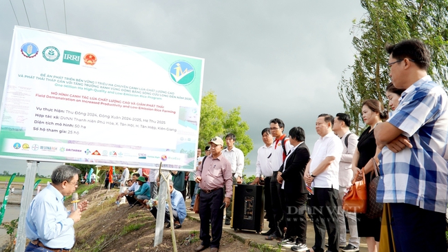 Nông dân thích thú xem các cỗ máy đa năng "biểu diễn" sạ lúa trên đồng ruộng ở Kiên Giang- Ảnh 3.