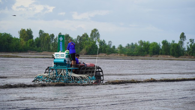 Nông dân thích thú xem các cỗ máy đa năng "biểu diễn" sạ lúa trên đồng ruộng ở Kiên Giang- Ảnh 4.