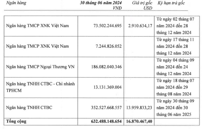 KQKD quý II/2024: Kinh doanh lao đao, Sợi Thế Kỷ (STK) ghi nhận khoản lỗ kỷ lục - Ảnh 3.