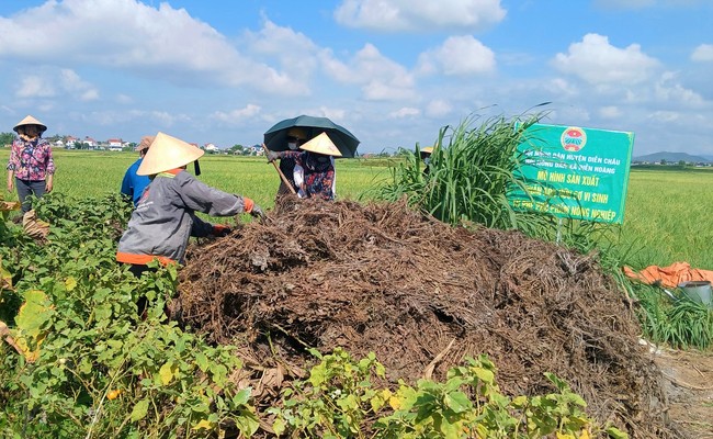 Nhiều hoạt động sôi nổi của Hội Nông dân tỉnh Nghệ An trong 6 tháng đầu năm 2024- Ảnh 4.