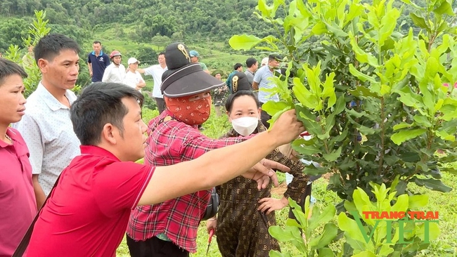 Tuần Giáo được đầu tư xây dựng hồ chứa nước Sái Lương có dung tích khoảng 5 triệu m3   - Ảnh 2.