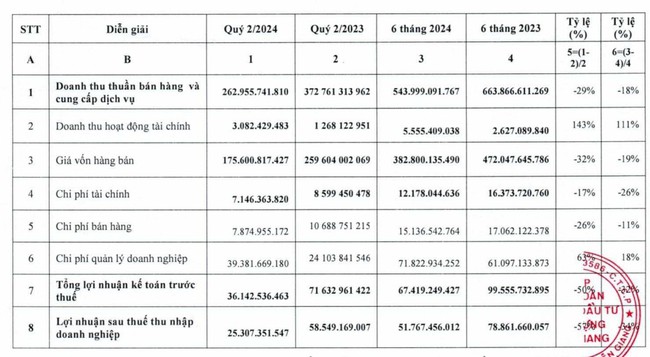 CIC Group (CKG) - Ảnh 2.