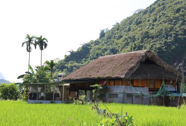 Một ngôi làng sở hữu bức tranh thiên nhiên trong lành êm ả, thanh bình ở Hà Giang - Ảnh 8.