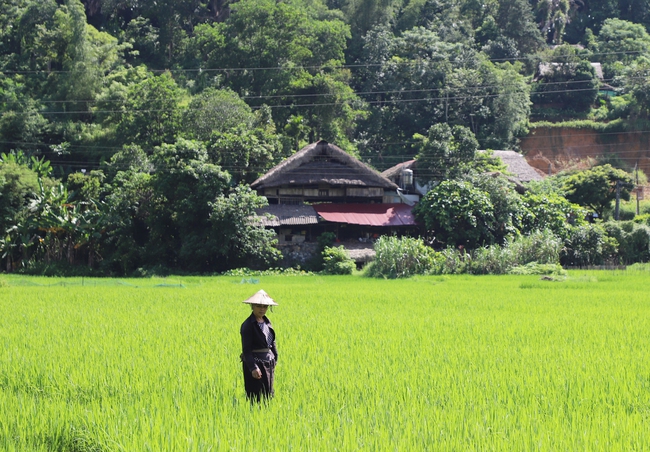 Một ngôi làng sở hữu bức tranh thiên nhiên trong lành êm ả, thanh bình ở Hà Giang - Ảnh 10.