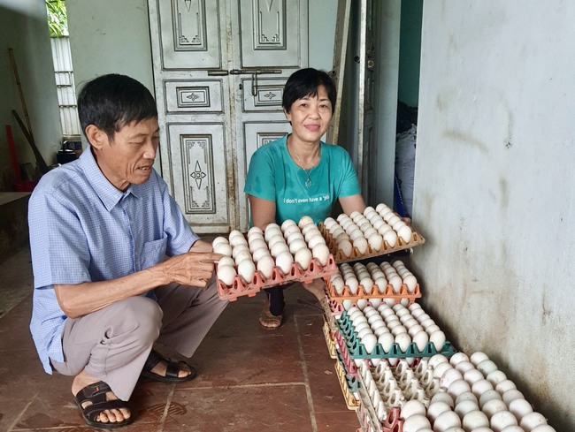 Nông dân Ba Vì dựng trang trại, ngày càng làm ăn lớn từ vốn ưu đãi Ngân hàng CSXH- Ảnh 1.