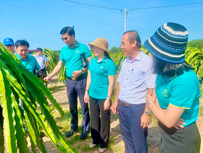 Sôi động làm kinh tế tập thể ở Bình Thuận - Ảnh 2.