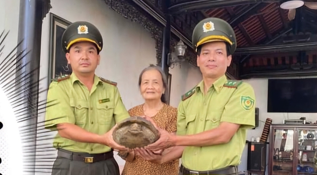 Rùa đất lớn- động vật hoang dã có tên trong sách Đỏ bò lạc vào vườn nhà dân ở TP.Huế- Ảnh 1.