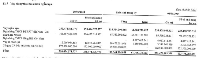 Lộ nguyên nhân giúp lợi nhuận sau thuế HUD1 tăng gấp đôi sau kiểm toán - Ảnh 2.