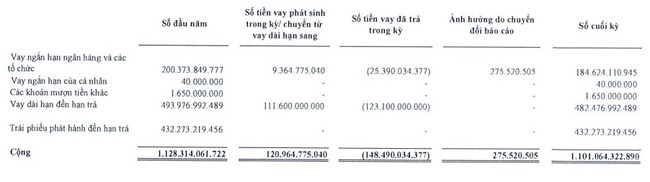 Chưa cập nhật kịp số liệu, Đức Long Gia Lai (DLG) xin hoãn nộp báo cáo tài chính bán niên 2024- Ảnh 1.