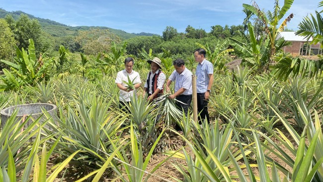 Hội Nông dân tỉnh TT-Huế hỗ trợ vật tư trị giá 184 triệu đồng để nhân rộng các mô hình kinh tế- Ảnh 3.