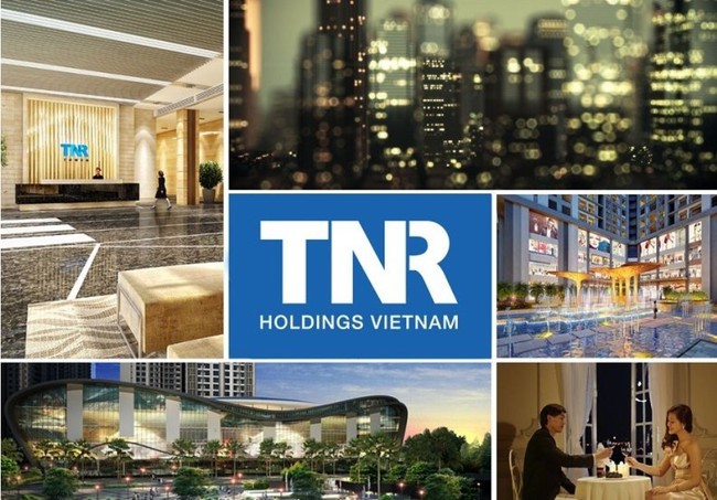 Bất động sản TNR Holdings đang làm ăn ra sao?- Ảnh 1.