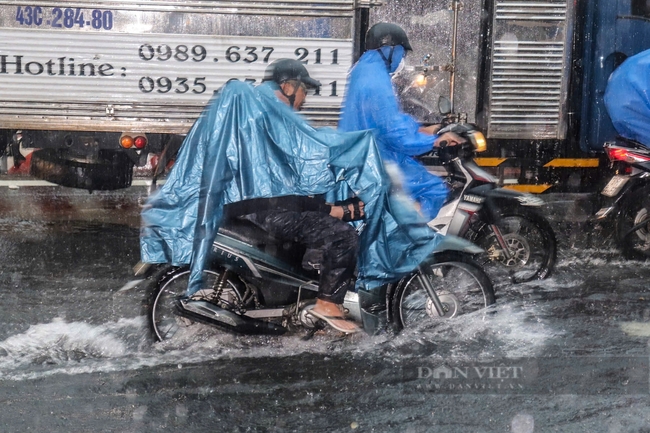 Đà Nẵng thành lập 7 đoàn theo dõi chỉ đạo ứng phó với áp thấp nhiệt đới đang mạnh lên thành bão- Ảnh 3.