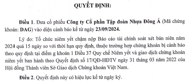 "Án chồng án", HoSE ra thông báo xử lý vi phạm đối với cổ phiếu DAG của Nhựa Đông Á - Ảnh 1.