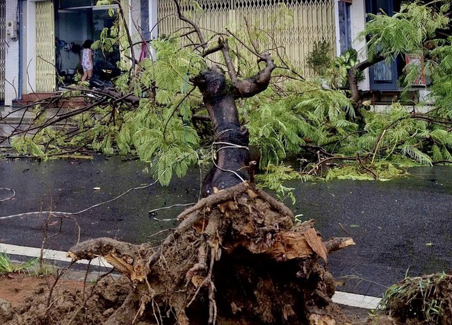 Thừa Thiên Huế sơ tán hàng chục hộ dân đến nơi an toàn để phòng tránh bão lũ- Ảnh 1.