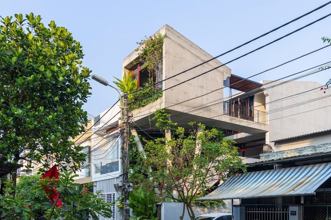 The Nest House: Nhà ống 4,5 x 16 m lấy cảm hứng từ "tổ chim"- Ảnh 3.