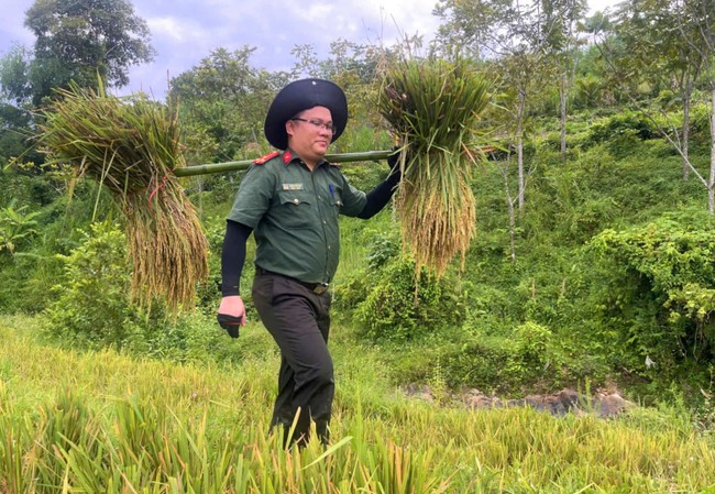 Nghệ An: Công an, cảnh sát, thanh niên xuống đồng giúp dân thu hoạch lúa hè thu "chạy" siêu bão- Ảnh 3.