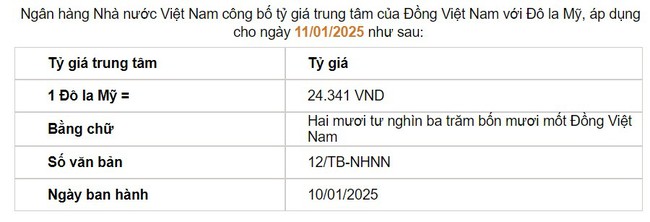 Giá USD hôm nay 11/1: Thế giới tiếp đà tăng, sát mốc 110- Ảnh 2.