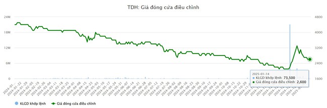 Chủ tịch Thuduc House bất ngờ xin từ nhiệm, HĐQT "vườn không nhà trống"- Ảnh 2.