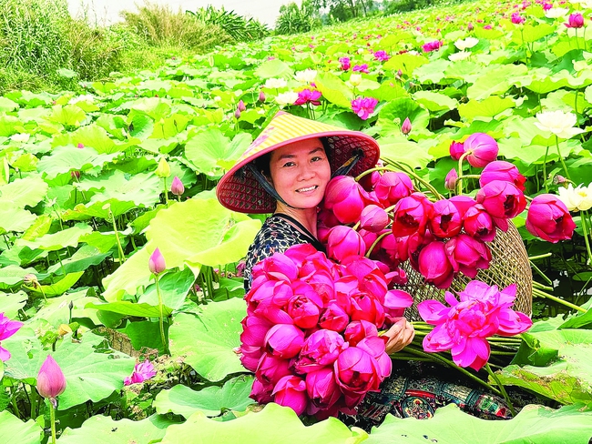 Hương thời gian miên man