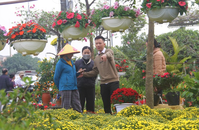 Làng hoa nổi tiếng ở Nghệ An trang hoàng rực rỡ, quốc lộ thành con đường hoa lung linh như cảnh trong phim - Ảnh 4.