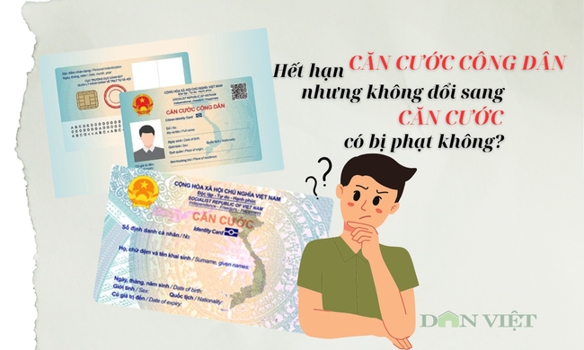 Căn cước công dân hết hạn không đổi sang thẻ Căn cước có bị phạt không?- Ảnh 1.