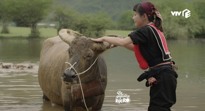 "Đi giữa trời rực rỡ" khiến khán giả mê đắm cảnh đẹp hùng vĩ của Cao Bằng- Ảnh 5.