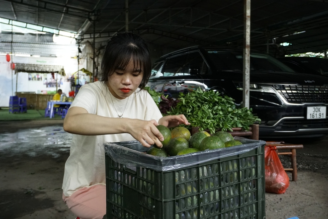 Mang đặc sản sạch vùng miền vào bữa ăn của người thành phố- Ảnh 2.