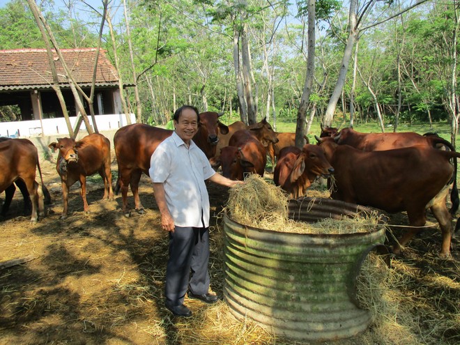 NDVN xuất sắc đến từ Quảng Nam: Mong muốn nông dân sống được bằng nghề của mình- Ảnh 2.