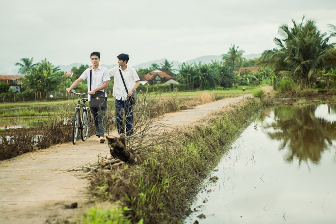 Bão lớn tại Phú Yên khiến phim "Ngày xưa có một chuyện tình" trồng gấp 3.600 cây ngô trước ngày quay - Ảnh 2.