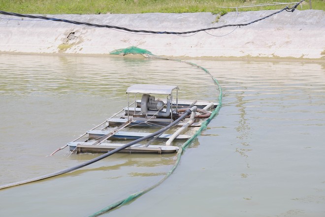 Nuôi cá bằng mô hình "lạ", anh nông dân ở Hà Nam thu tiền tỷ và là Nông dân Việt Nam xuất sắc năm 2024 - Ảnh 4.