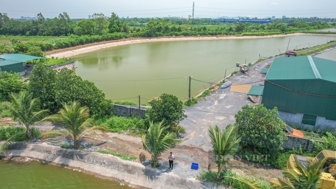 Nuôi cá bằng mô hình "lạ", anh nông dân ở Hà Nam thu tiền tỷ và là Nông dân Việt Nam xuất sắc năm 2024 - Ảnh 6.