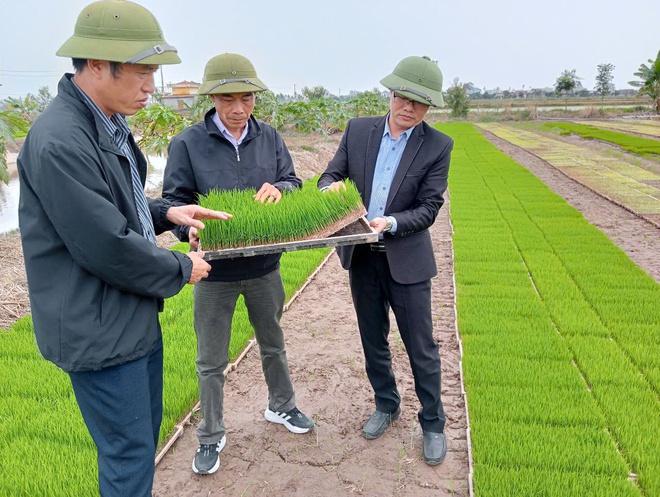 CT CLB Đại điền Hải Phong Trần Mạnh Hùng: "Gần 10 năm nay, tôi tự trả lương 50 triệu đồng mỗi tháng" - Ảnh 19.