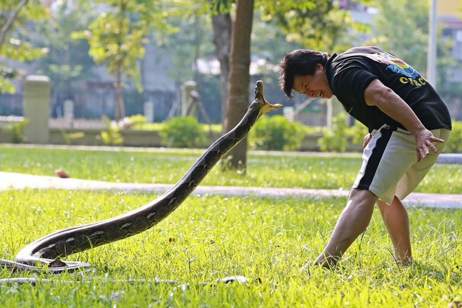 Nghệ sĩ Nhân dân là Giám đốc thờ trăn tại nhà, từng bị trăn cắn rách mặt- Ảnh 2.
