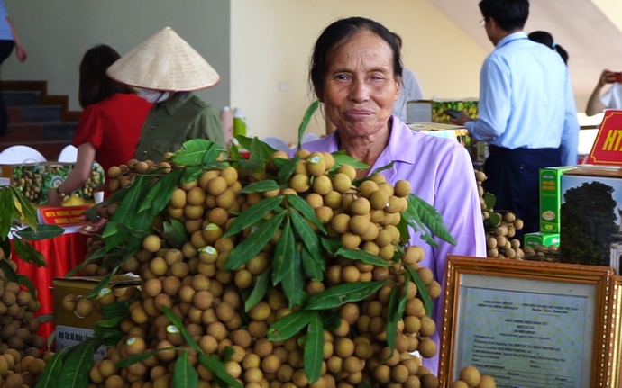 Nô nức lễ hội nhãn lồng Hưng Yên