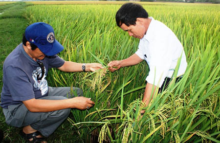 Một chuyến hành trình đến quê hương Thái Bình sẽ giúp bạn thấy được nét đẹp khác lạ của vùng đất này. Bạn sẽ gặp gỡ được những con người thân thiện, tận hưởng những đặc sản ngon miệng và khám phá những di sản văn hóa độc đáo.