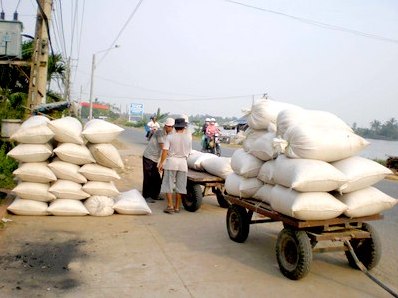 Xuất khẩu gạo của Việt Nam gần đây tăng mạnh