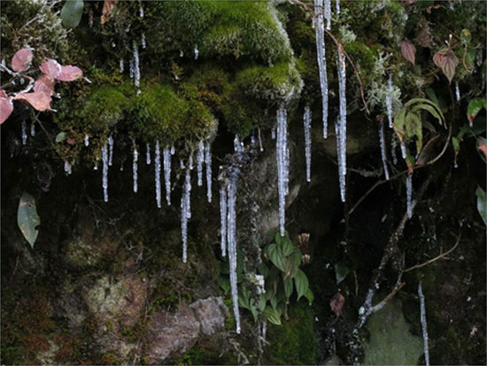 Những giọt nước đóng băng rủ xuống vách đá tạo thành bức tranh thật đẹp.