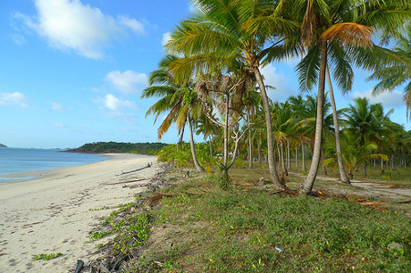 Côn Đảo vào top 9 hòn đảo bí ẩn nhất thế giới