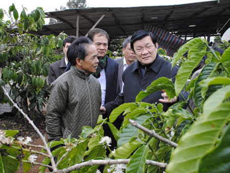 Chủ tịch nước Trương Tấn Sang thăm mô hình nông nghiệp tổng hợp của gia đình ông Bùi Minh Phong ở bon Jun Júh, xã Đức Minh (Đắk Mil) - Ảnh: PTD