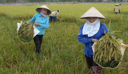 Ông Cao Sĩ Kiêm khẳng định, ưu tiên cho nông nghiệp luôn là mục tiêu quan trọng nhất.