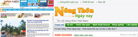 Giao diện của báo Điện tử Dân Việt, trang web chính thức  của báo NTNN (trái)  và giao diện trang web mạo danh báo NTNN. 