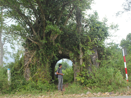 Cổng thành Thọ An