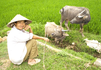 Quê hương biết mấy thân thương...