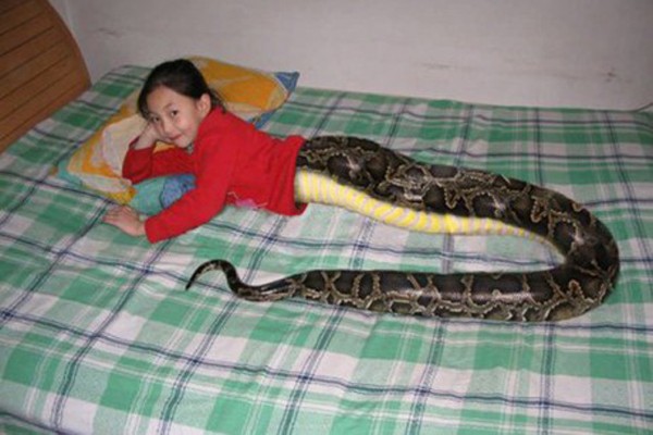 Hình ảnh được cho là cô bé người rắn Mai Li Fay