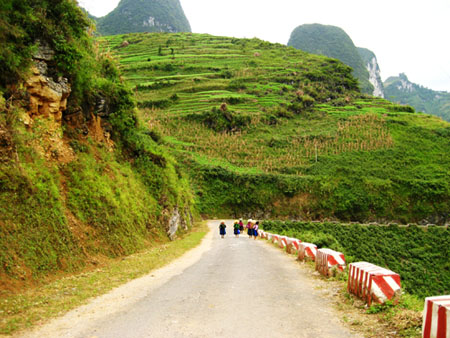 Đèo Mã Phì Lèng uốn lượn trong mảnh đất cao nguyên đá Hà Giang.