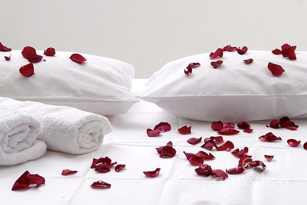 Giấc ngủ với hương thơm hoa hồng sẽ cho một giấc mơ đẹp và ngọt ngào.