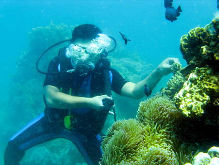 Du khách trong chuyến lặn biển Hòn Mun (Nha Trang). 