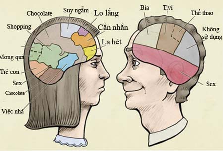 Sự khác biệt trong xử lý thông tin giữa não bộ đàn ông và phụ nữ.